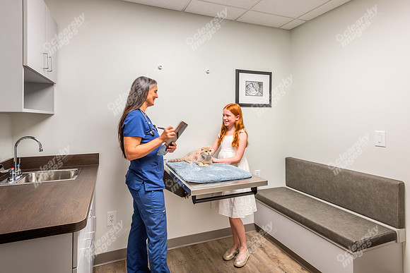 CarolinaPetsAnimalHospital_Feline_Exam_Room171