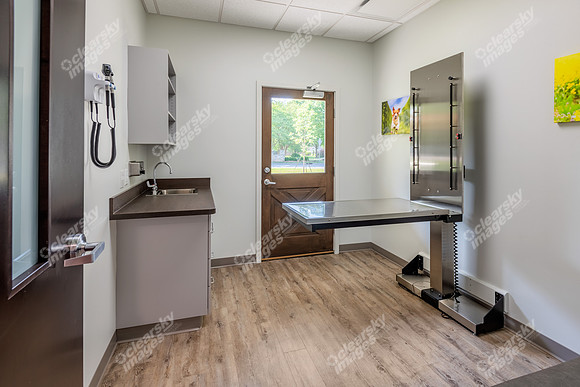 CarolinaPetsAnimalHospital_Canine_Exam_Room096