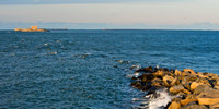 chesapeake-bay-737
