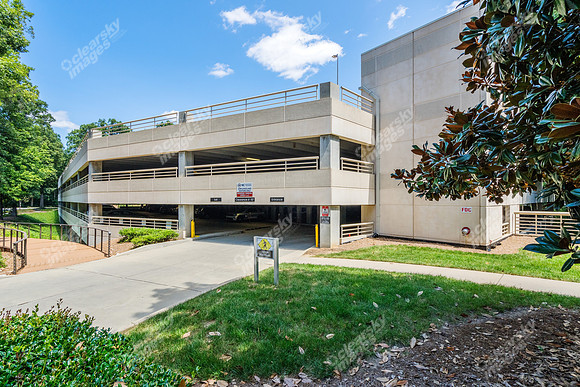 3200-beechleaf-ext14887