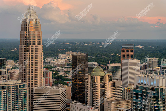CLT-CBD-070325-8507