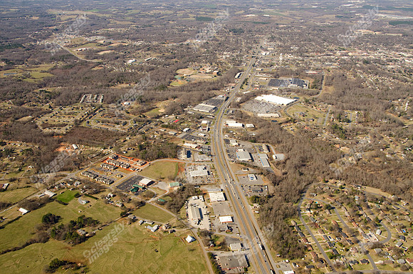 sue-ln-shelby-site-16