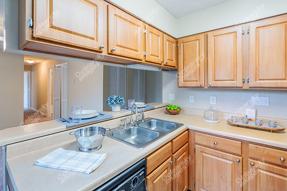 350-powell-int01524