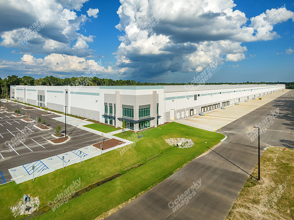 8000-palmetto-drn13632