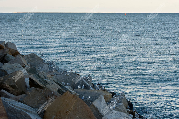 chesapeake-bay-578