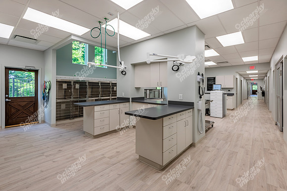 CarolinaPetsAnimalHospital_Treatment_Area226