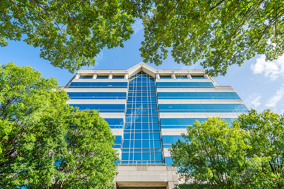 3200-beechleaf-ext15097