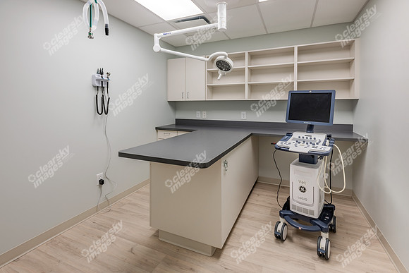 CarolinaPetsAnimalHospital_Special_Procedures411