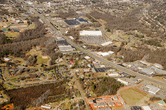 sue-ln-shelby-site-12