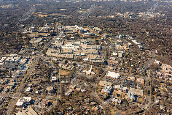 bell-morrison-022015-3587