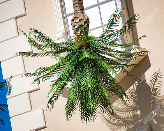 wonderworks-4425