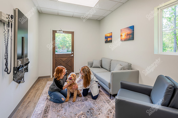 CarolinaPetsAnimalHospital_Comfort_Room311