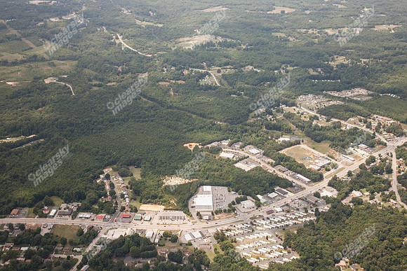 piney-forest-0714-355