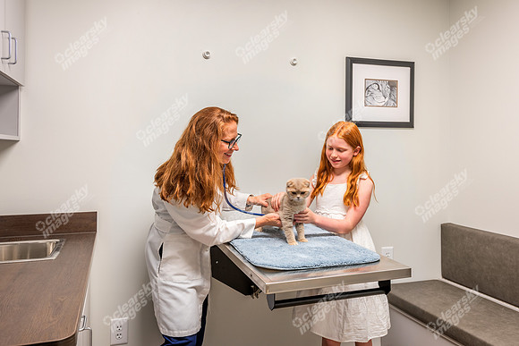 CarolinaPetsAnimalHospital_Feline_Exam_Room181