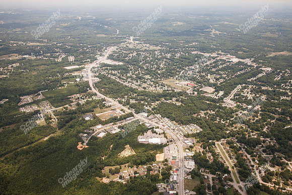 piney-forest-0714-350