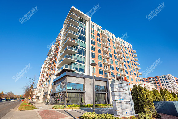 4425-sharon-ext1466
