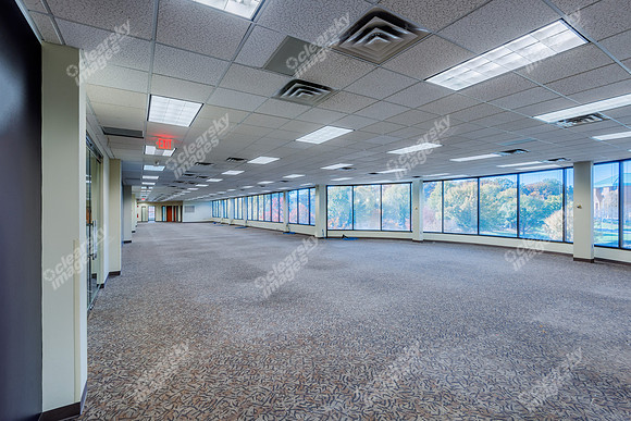 patewood-office-park-8242