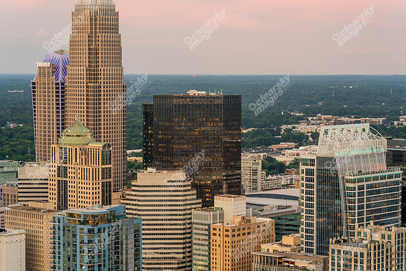 CLT-CBD-070325-8479