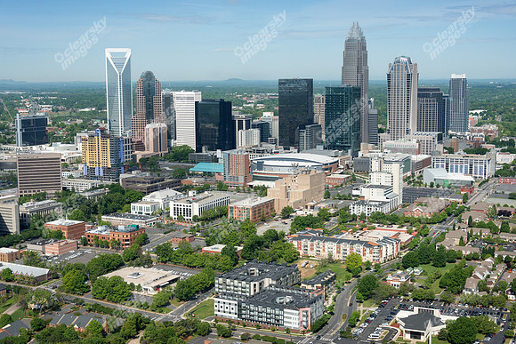 charlotte-cbd-h-0747