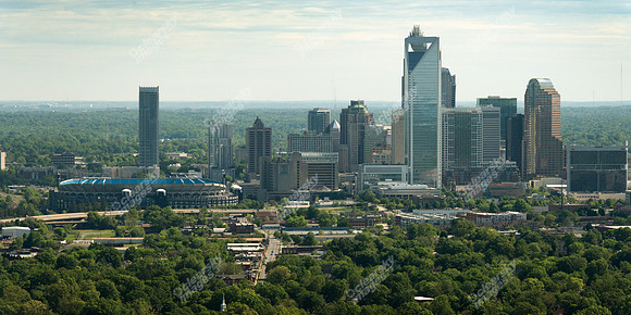 charlotte-cbd-h-0771