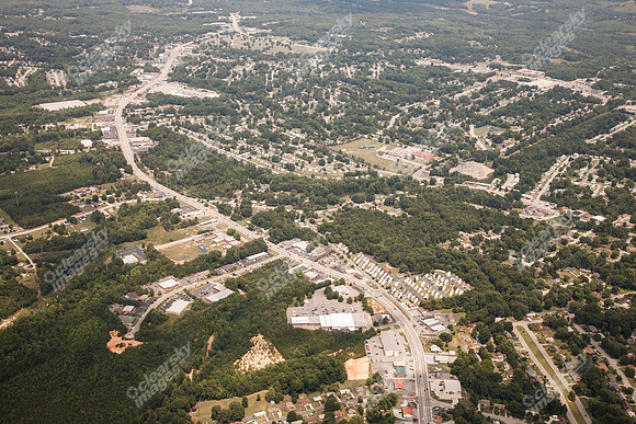 piney-forest-0714-349