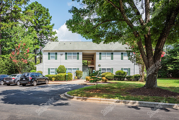1925-pine-bough-ext1177