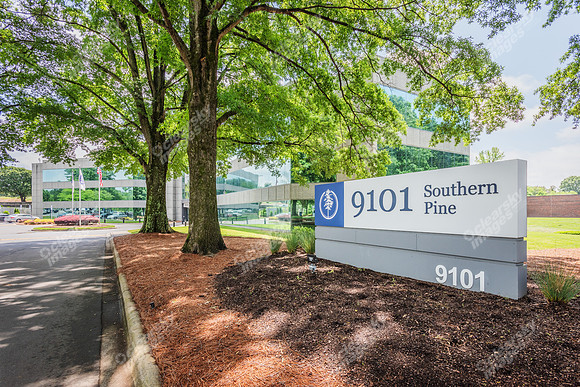 9101-southern-pine-ext7325
