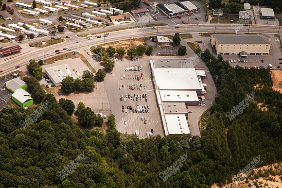 piney-forest-0714-369