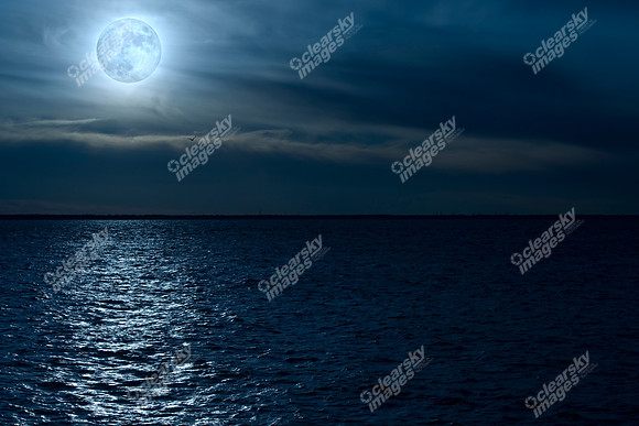 chesapeake-bay-824