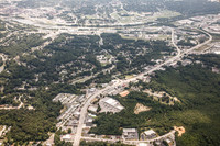 piney-forest-0714-361