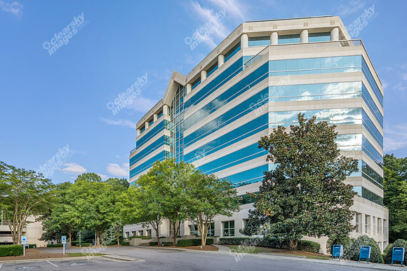3200-beechleaf-ext15643