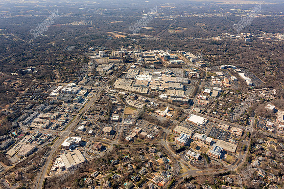 bell-morrison-022015-3589