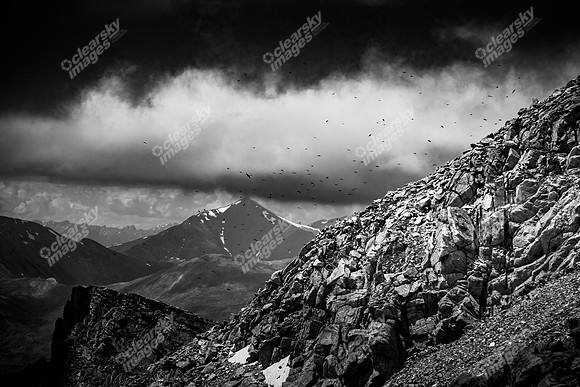 colorado-2181bw