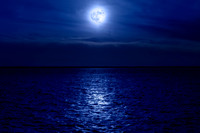 chesapeake-bay-819