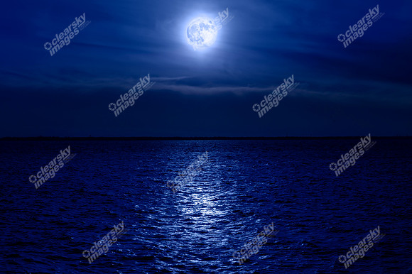 chesapeake-bay-819