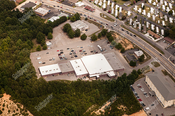 piney-forest-0714-370