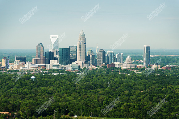 charlotte-cbd-h-0665